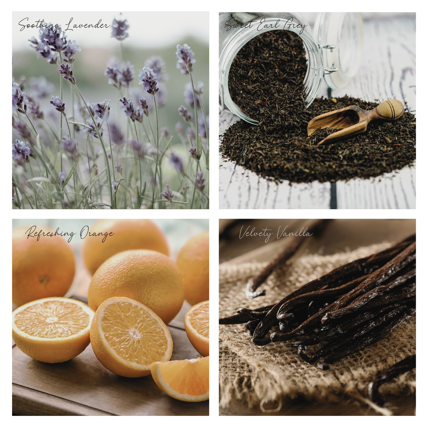 Be Mellow Simmer Pot Mix, Natural Lavender Citrus Aroma