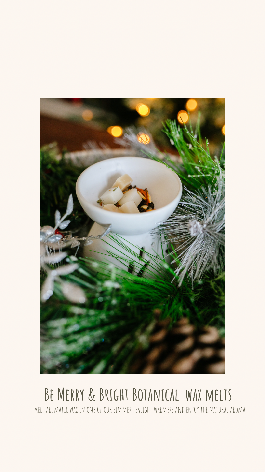Be Merry and Bright Simmer Melt, Botanical Scented Wax