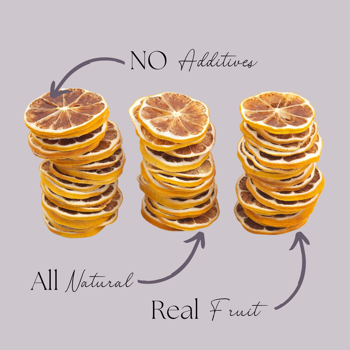 Dried Lemon Slices, Natural Garnish - Simmer and Co Natural Aroma Inc - Fruit Garnish