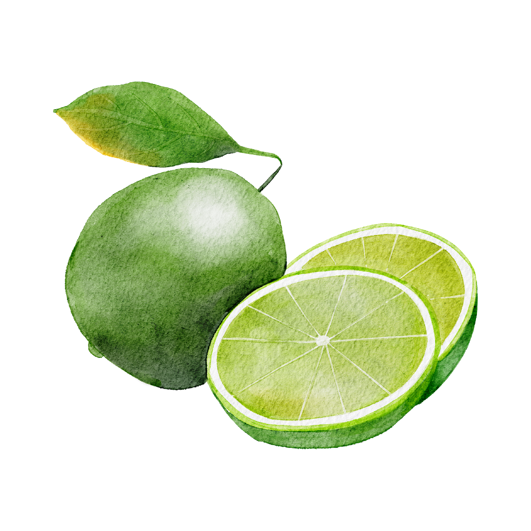 Dried Lime Slices