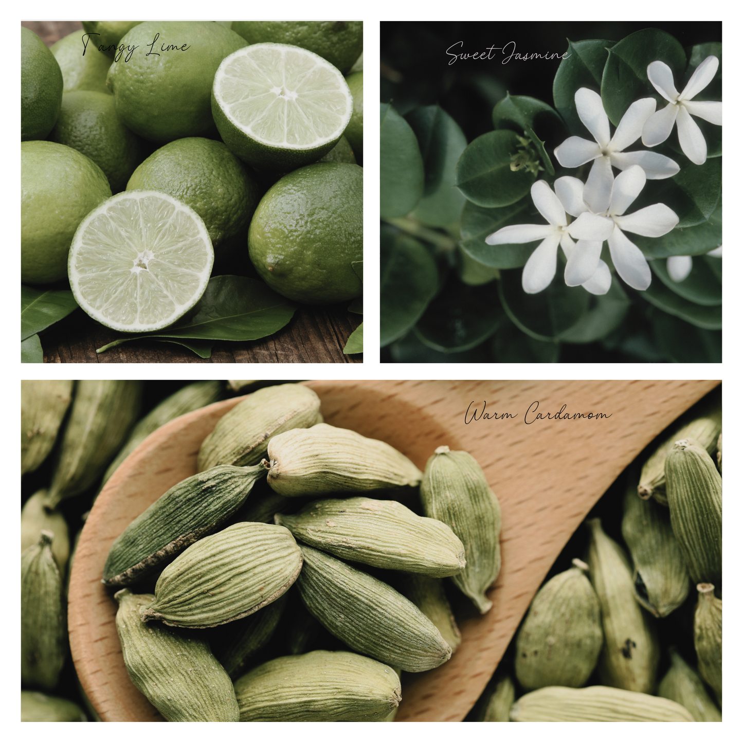 Be Cozy Simmer Mist, Natural Floral Spice Room + Linen Spray