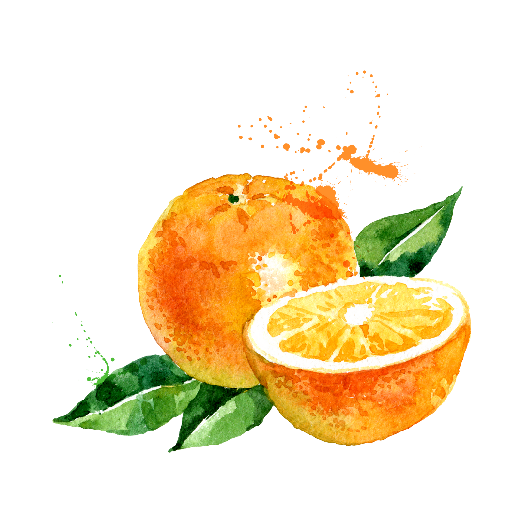 Dried Orange Slices