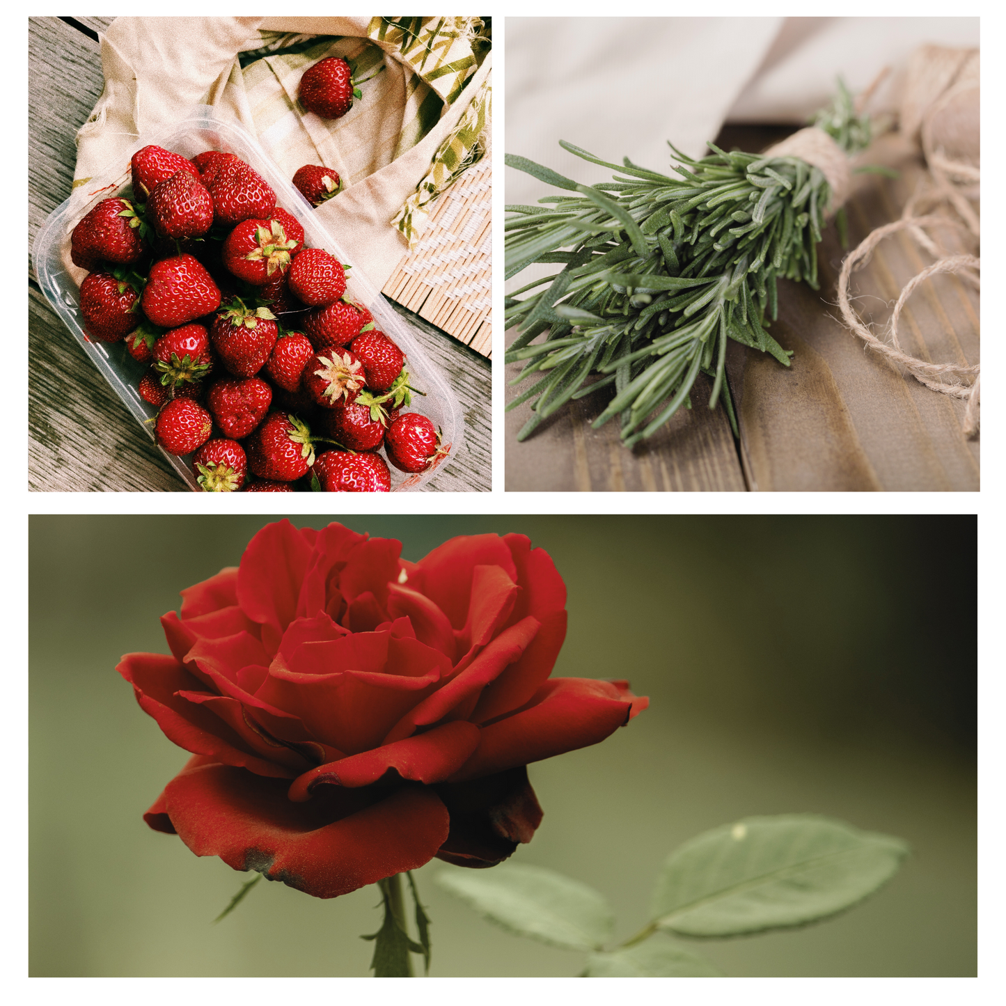 Be Celebrated Simmer Mist, Natural Citrus Floral Room + Linen Spray