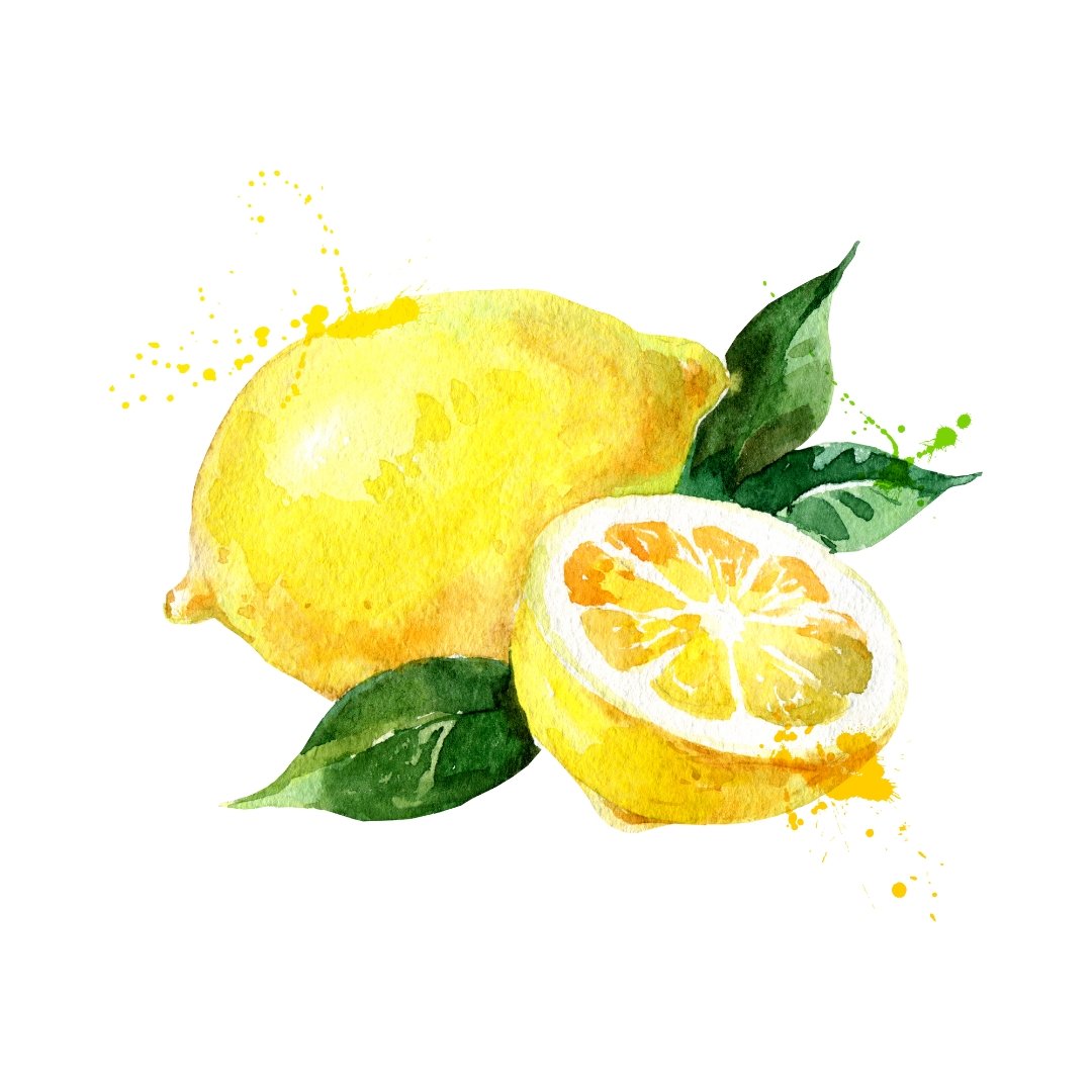Dried Lemon Slices - Simmer and Co Natural Aroma Inc -
