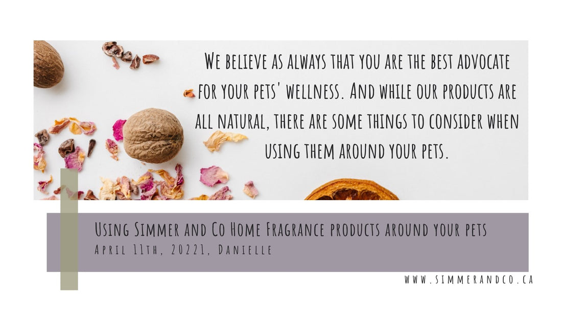 Using Simmer and Co Home Fragrance products around your pets - Simmer and Co Natural Aroma Inc
