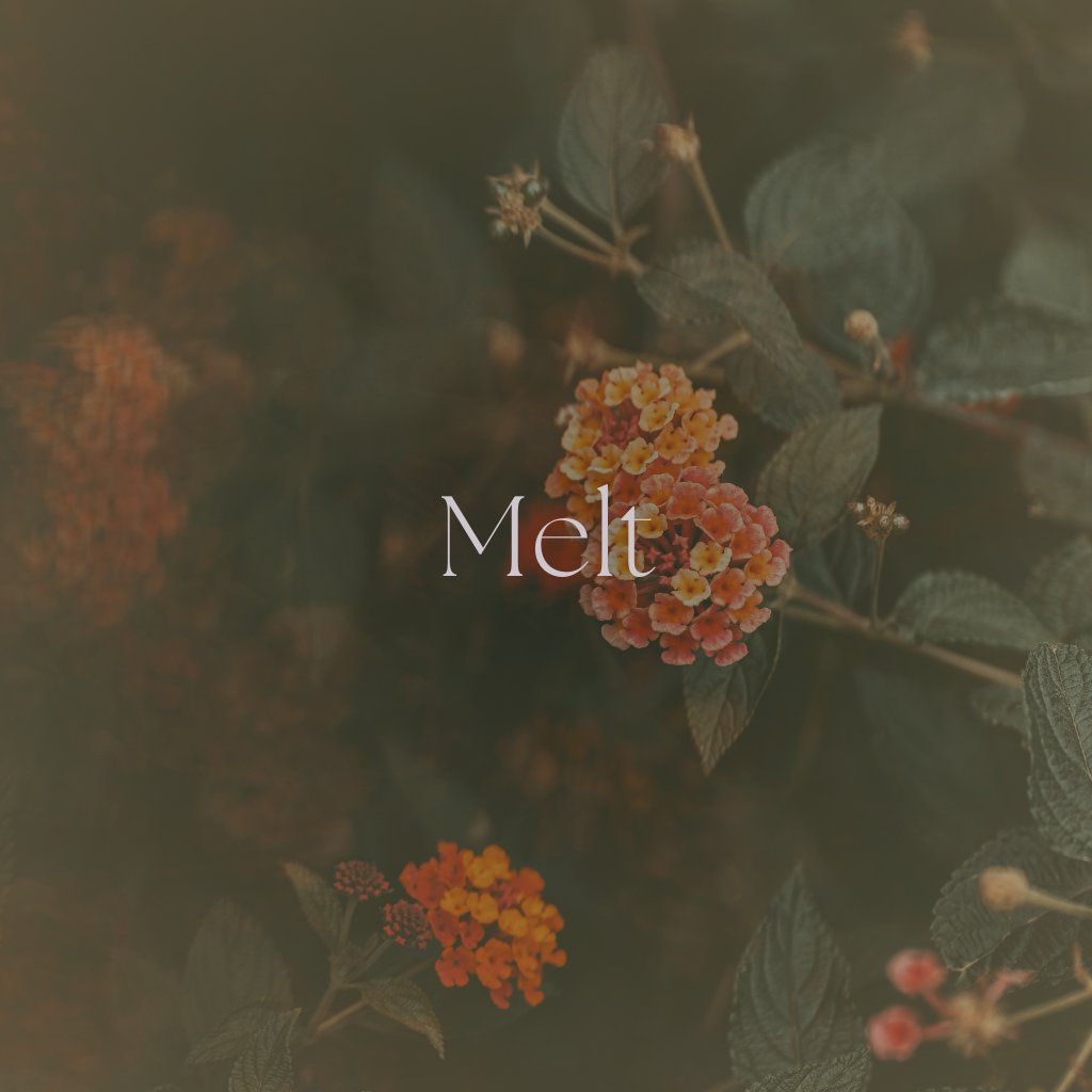 Simmer Melts - Simmer and Co Natural Aroma Inc
