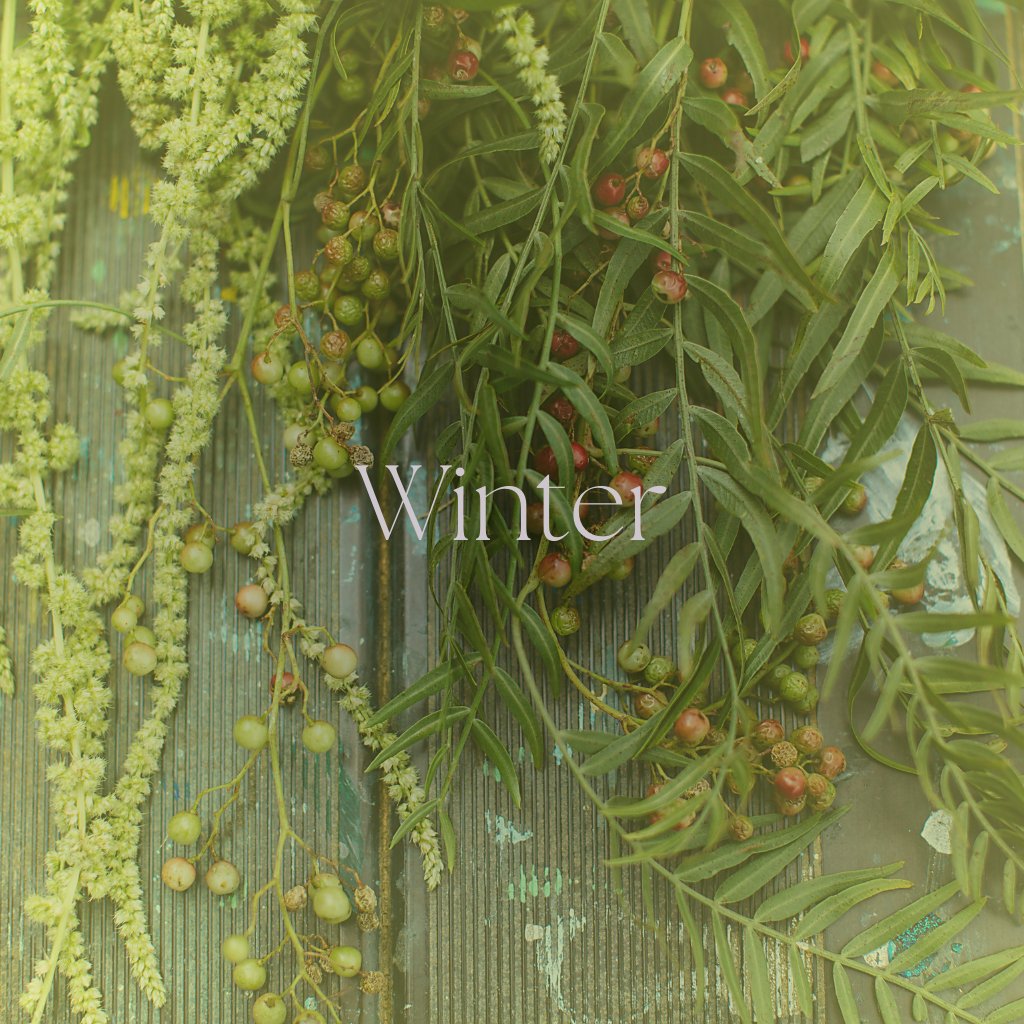 Winter Collection - Simmer and Co Natural Aroma Inc