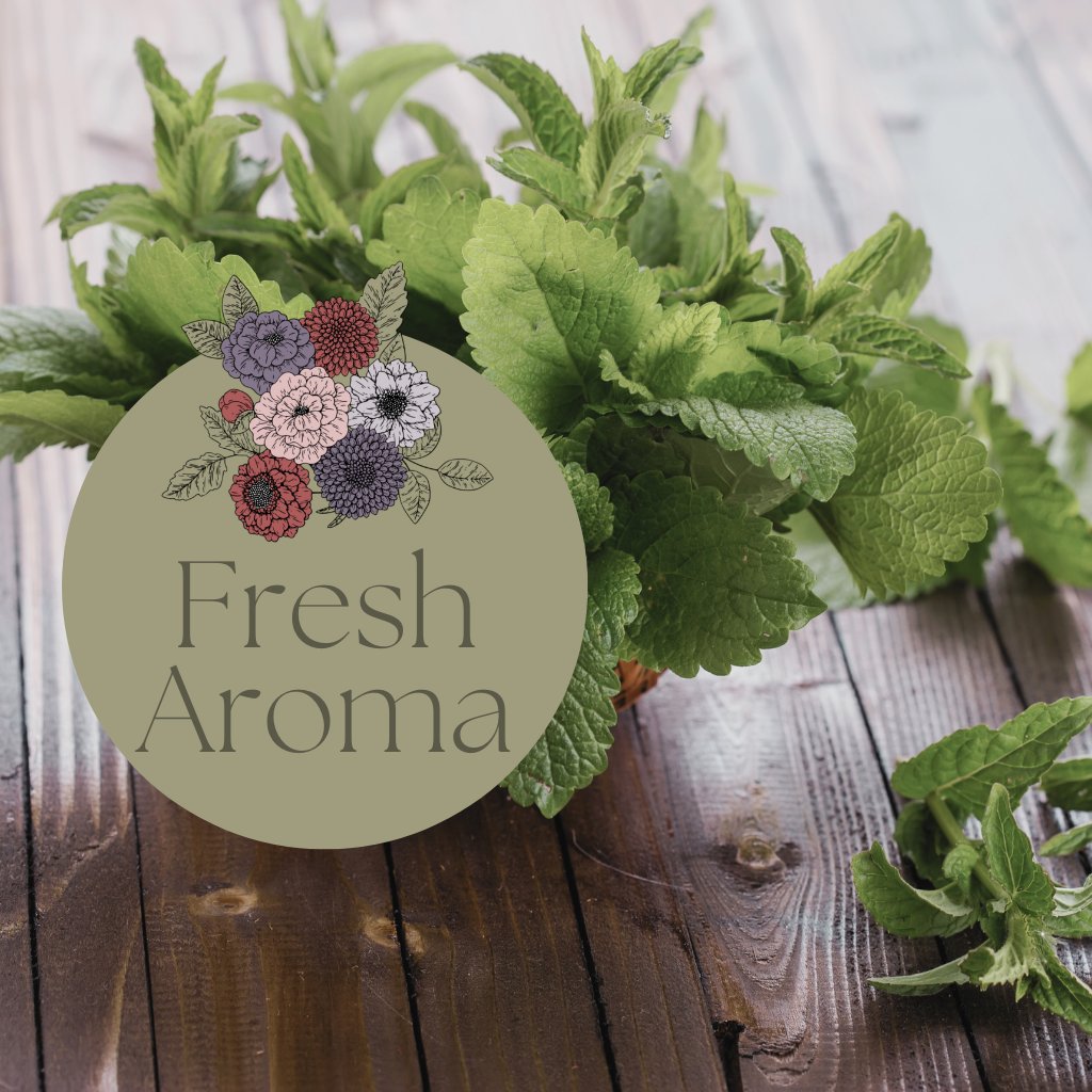 Fresh Aroma - Simmer and Co Natural Aroma Inc