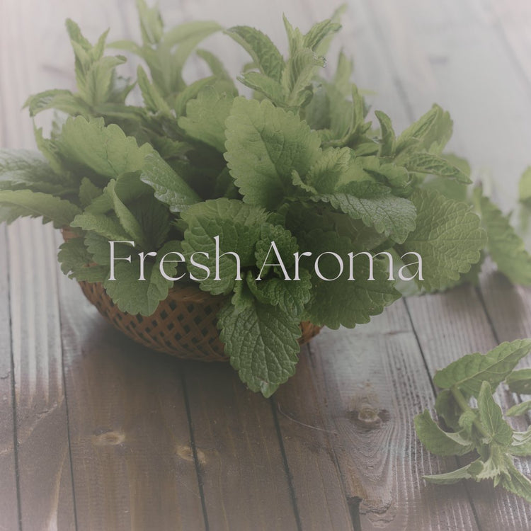 Fresh Aroma - Simmer and Co Natural Aroma Inc