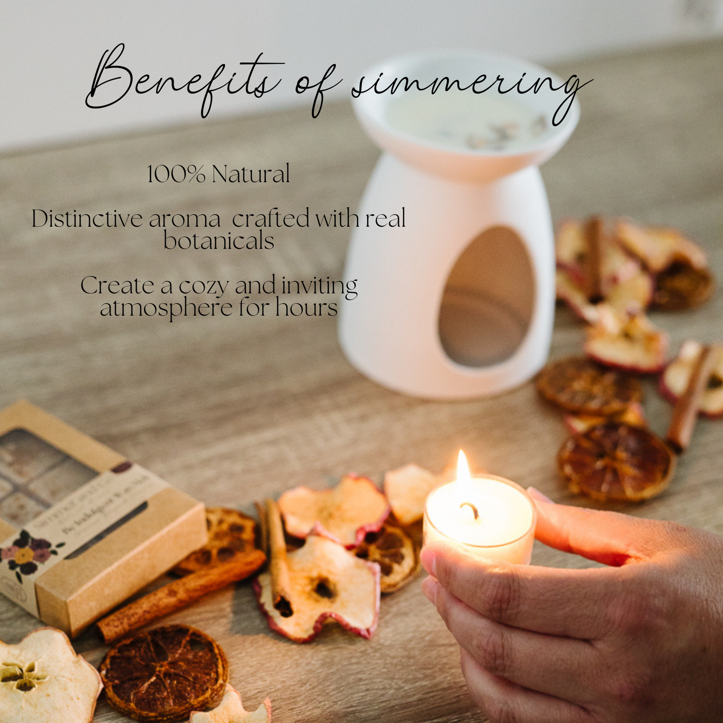 Be Indulgent Simmer Melt, Botanical Wax Cubes