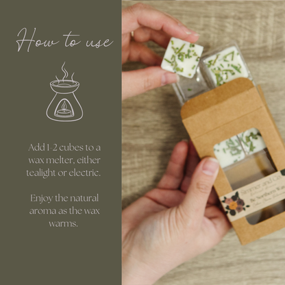Be Northern Simmer Melt, Botanical Scented Wax