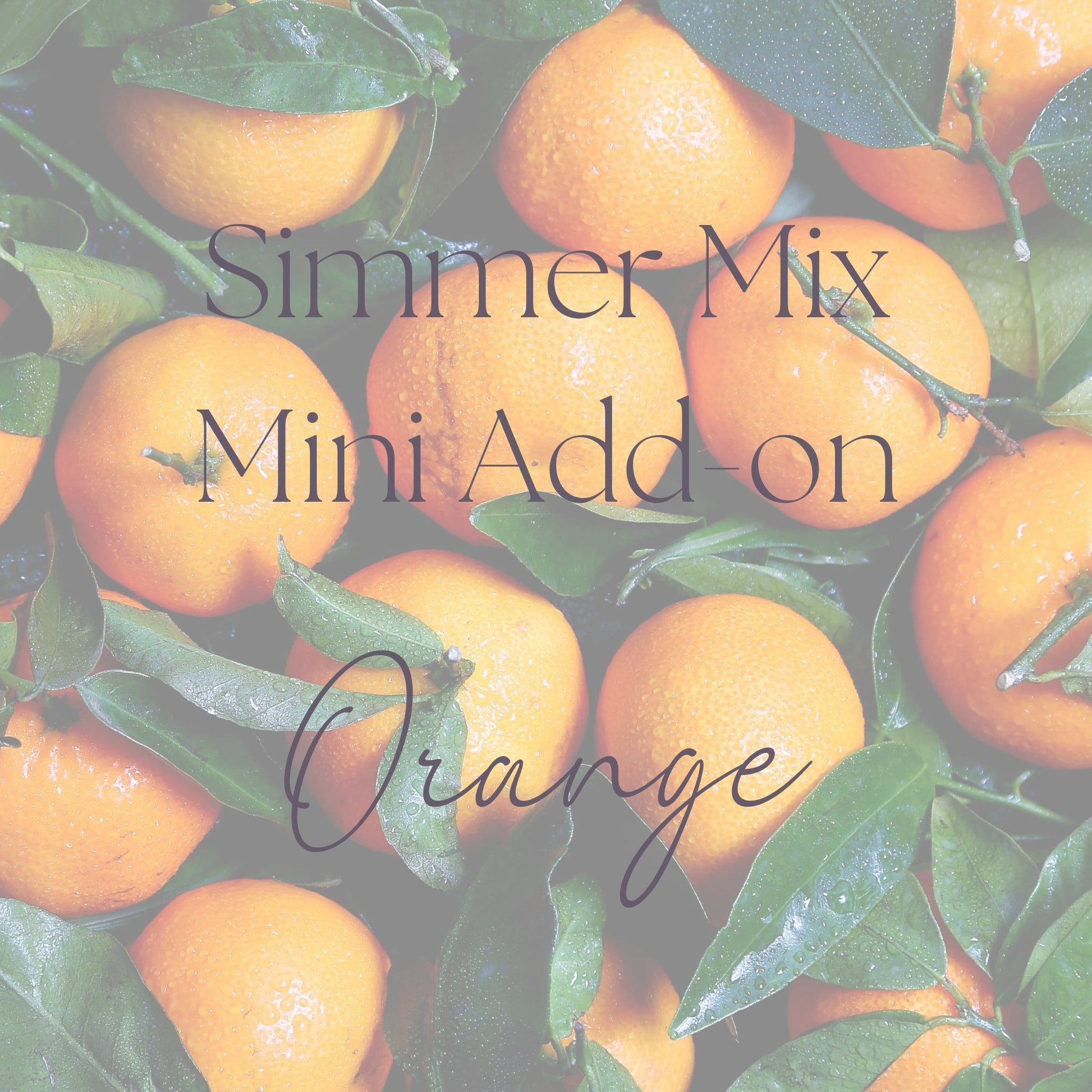 Fresh Mini Mix Bundle - Simmer and Co Natural Aroma Inc -